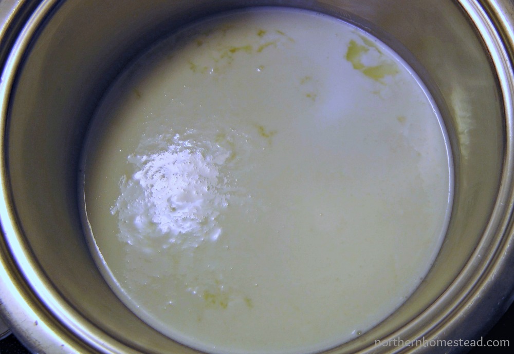 Quark to quark Cheese  How Homestead make how To Make Northern buttermilk