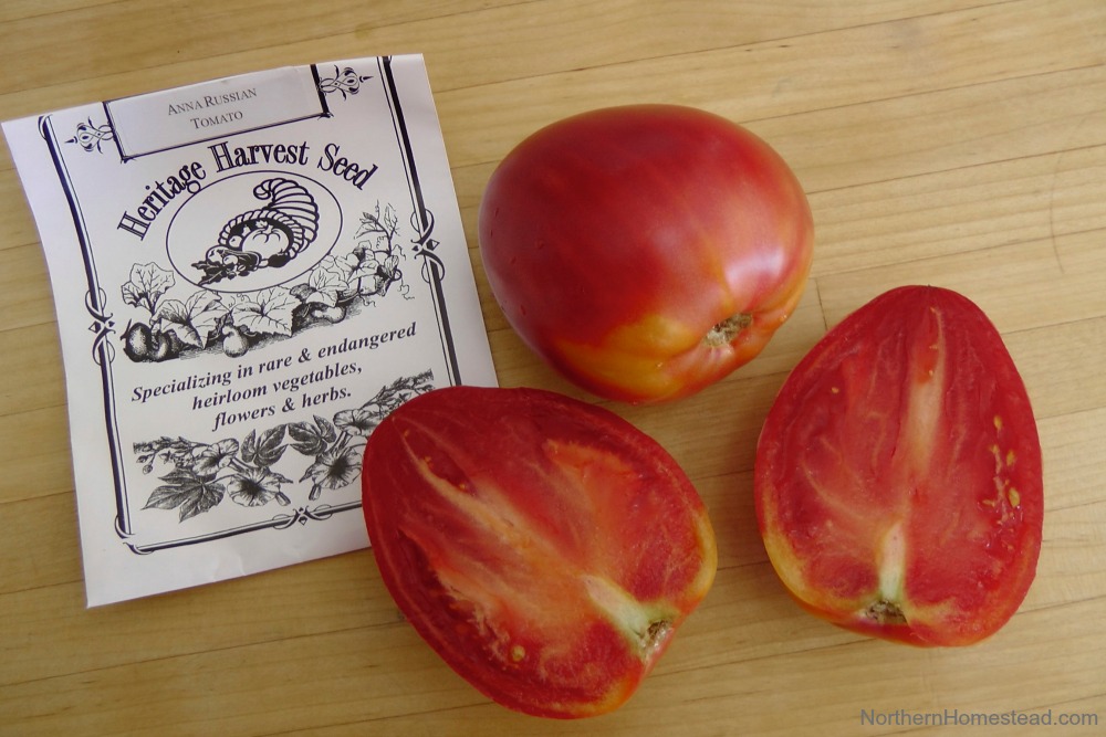 Heirloom Tomato Varieties We Grow In A Northern Garden Northern Homestead