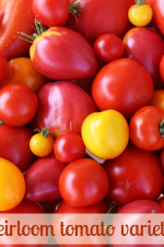 Heirloom tomato varieties