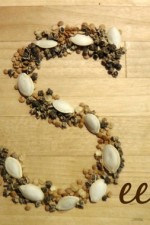 Getting seeds