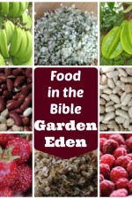 Food in the Bible 1. - Garden Eden