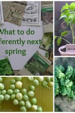 What to do differently next spring