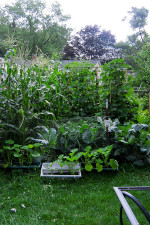 Making A New Life In The Country2