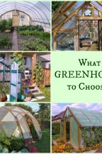 What greenhouse to choose?