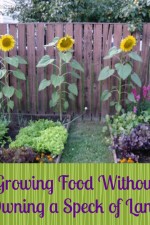 Growing Food Without Owning a Speck of Land