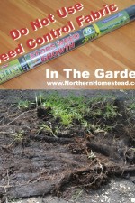 Do Not Use Weed Control Fabric in the Garden