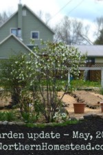 Garden update – May 30, 2014