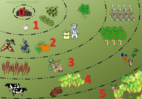 Permaculture Zones On 1 8 Of An Acre Northern Homestead