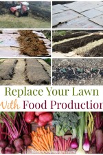 Replace Your Lawn With Food Production