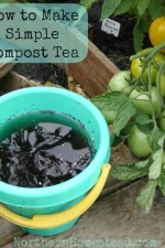 How to Make Simple Compost Tea