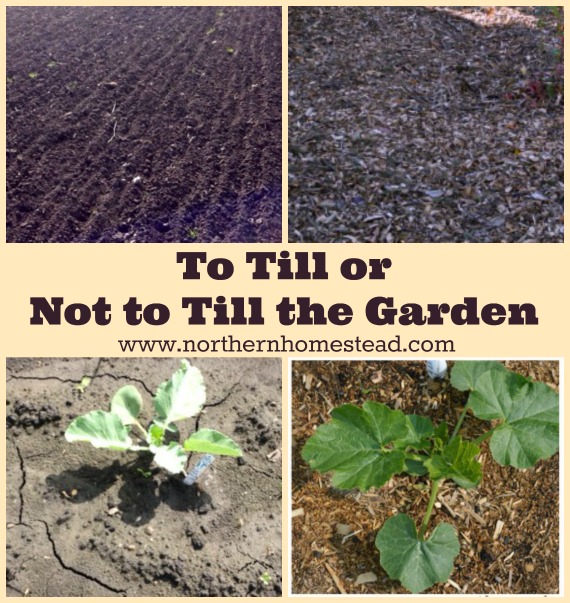 How do you till a garden?