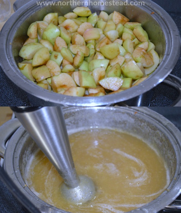 Apple Sauce and Apple Jam Northern Homestead