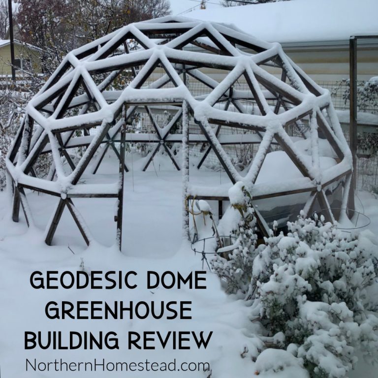 How To Build A Geodesic Dome Greenhouse Diy Geodome Northern Homestead