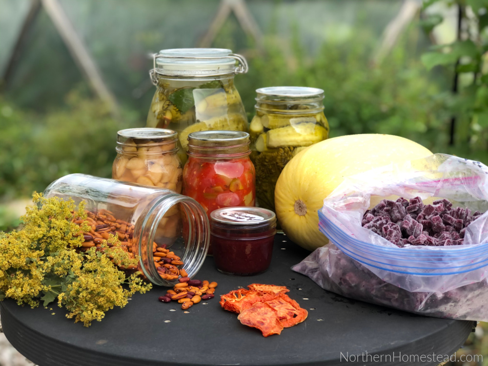 5 ways to preserve food