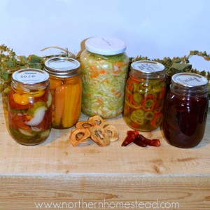 Under Preserving we share how we preserve food. With only about 100 frost free days, we want to preserve and store our summer bounties as much as we can to have homegrown food all throughout the long winter.