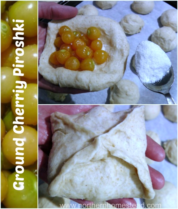 Ground Cherry Piroshki