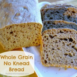 Here is a good alternative to sourdough bread, Whole Grain, No Knead Bread recipe. Simple, healthy and delicious.