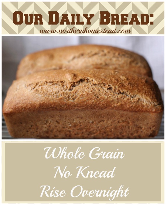Our Daily Bread - Whole Grain, No Knead, Rise Overnight - Simple and Yummy!!!
