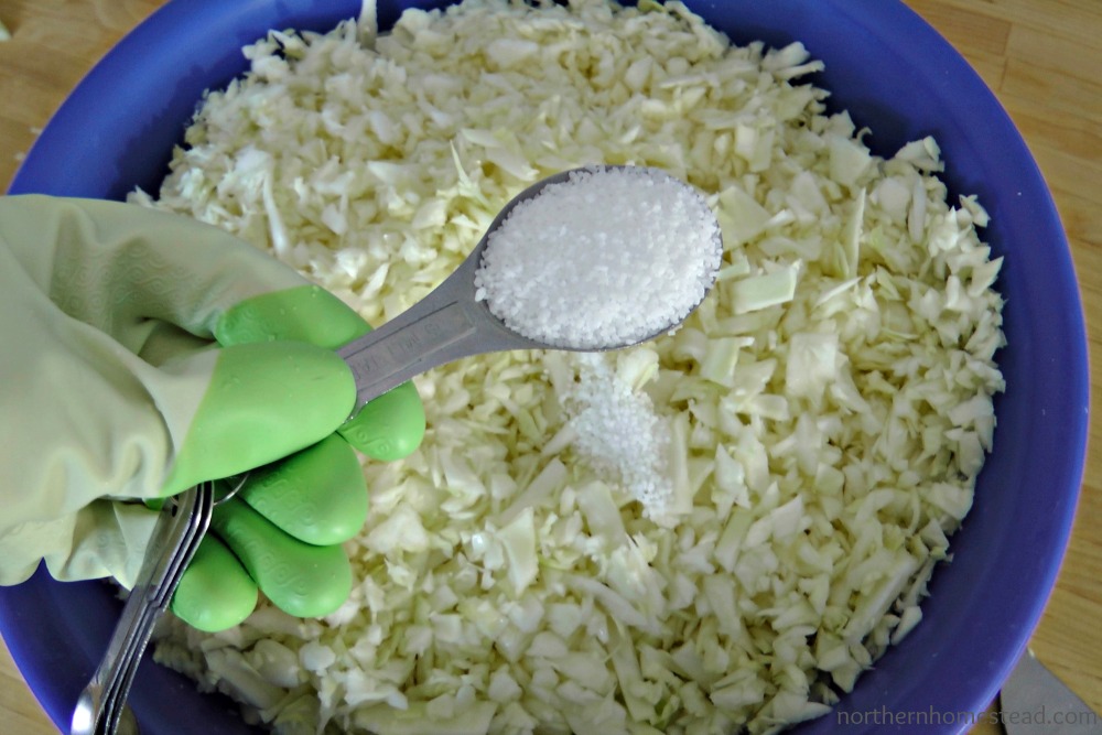 Sauerkraut salt