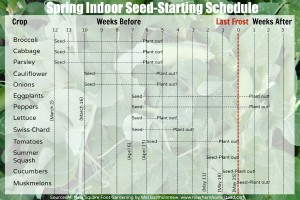 Starting Seeds Indoors Schedule
