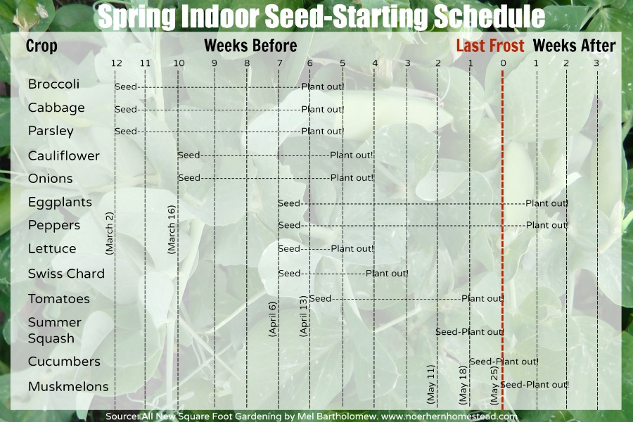 Spring Indoor Seed-Starting Schedule - Free Printable - Northern Homestead