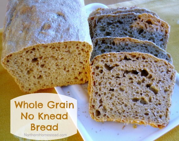 Simple Whole Grain, No Knead Bread