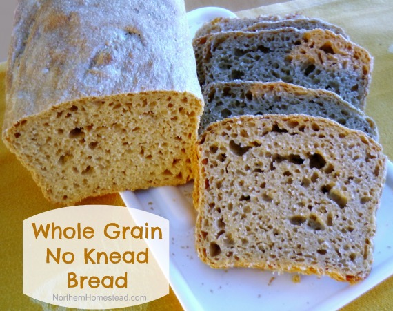 https://northernhomestead.com/wp-content/uploads/2012/03/Simple-Whole-Grain-No-Knead-Bread7.jpg