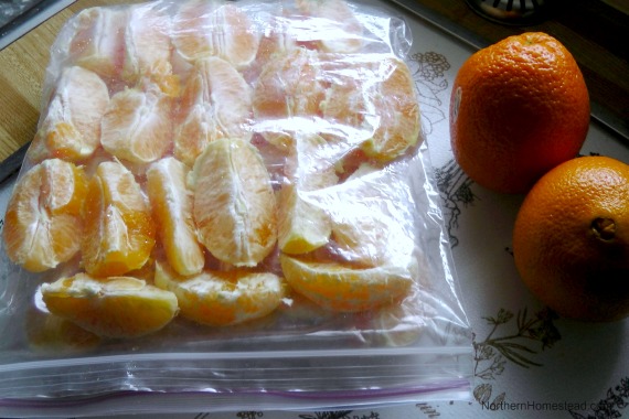 How to Freeze Oranges 