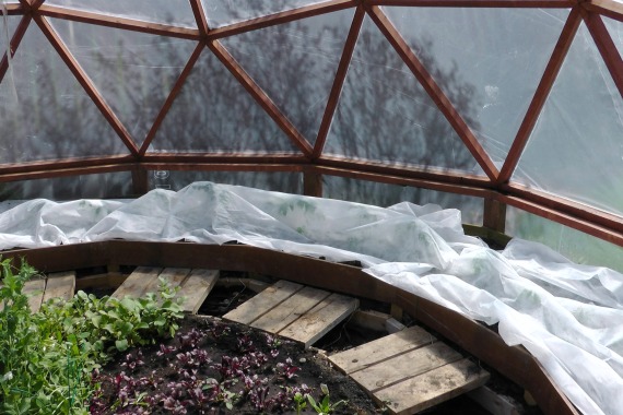 Protective blanket in a greenhouse