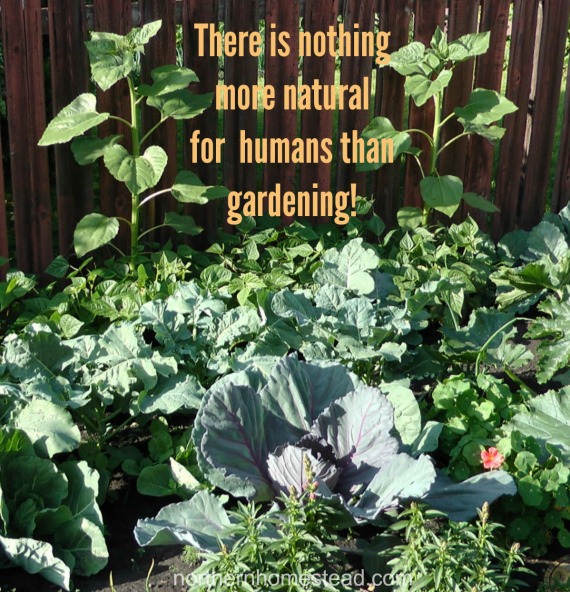 There is nothing more natural for humans than gardening!
