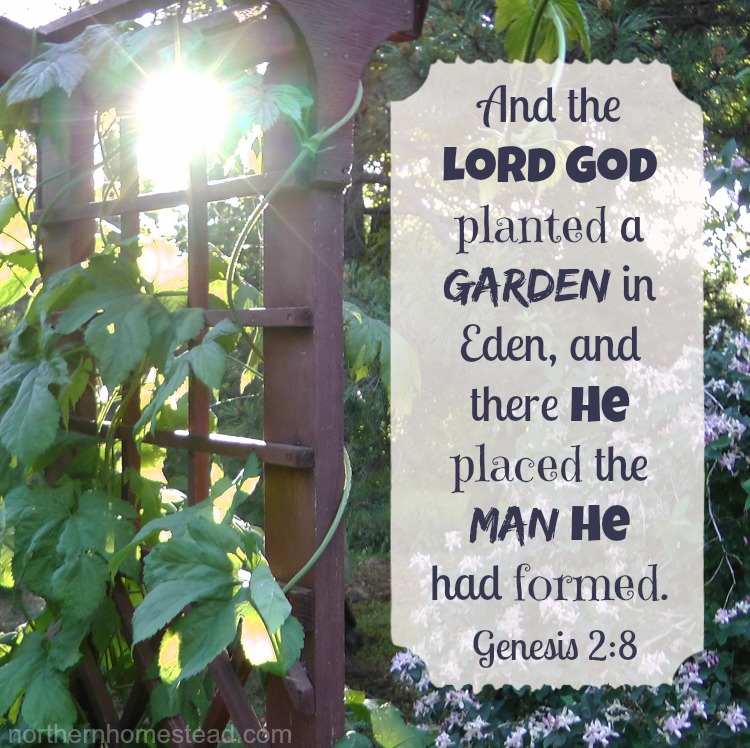 "And the Lord God planted a garden in Eden, in the east, and there he put the man whom he had formed." Genesis 2.8