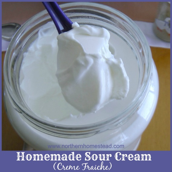 How to Make Homemade Sour Cream (Creme Fraiche) - Northern Homestead