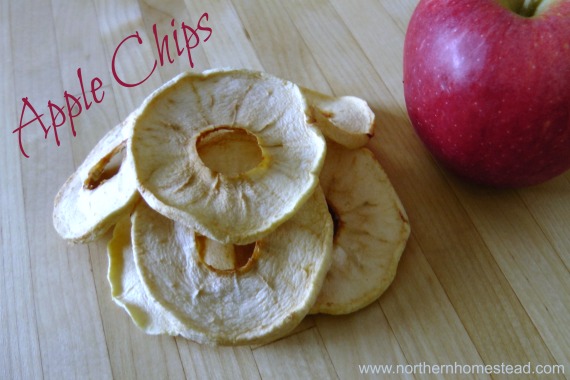 A Dozen Ways to Preserve Apples - Apple chips