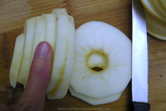 Apple Chips