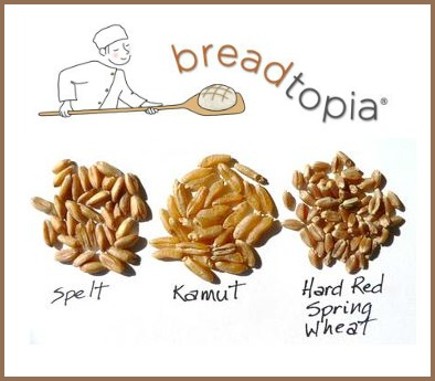 Breadtopia Grains