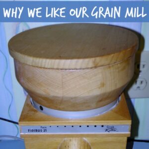 Why We Would Recommend a KoMo Fidibus Grain Mill