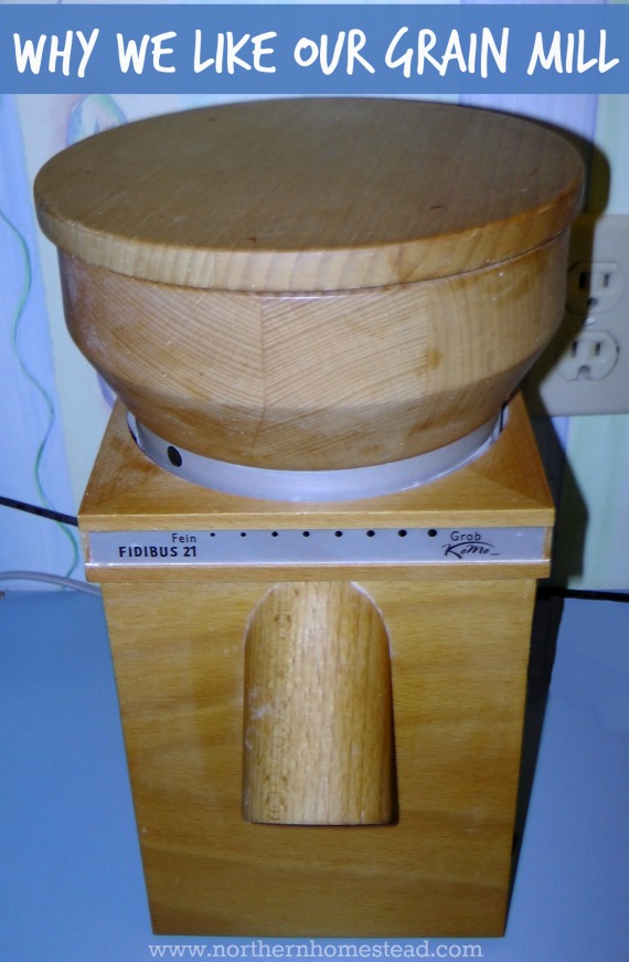 Why We Like Our Wolfgang Fidibus 21 Grain Mill