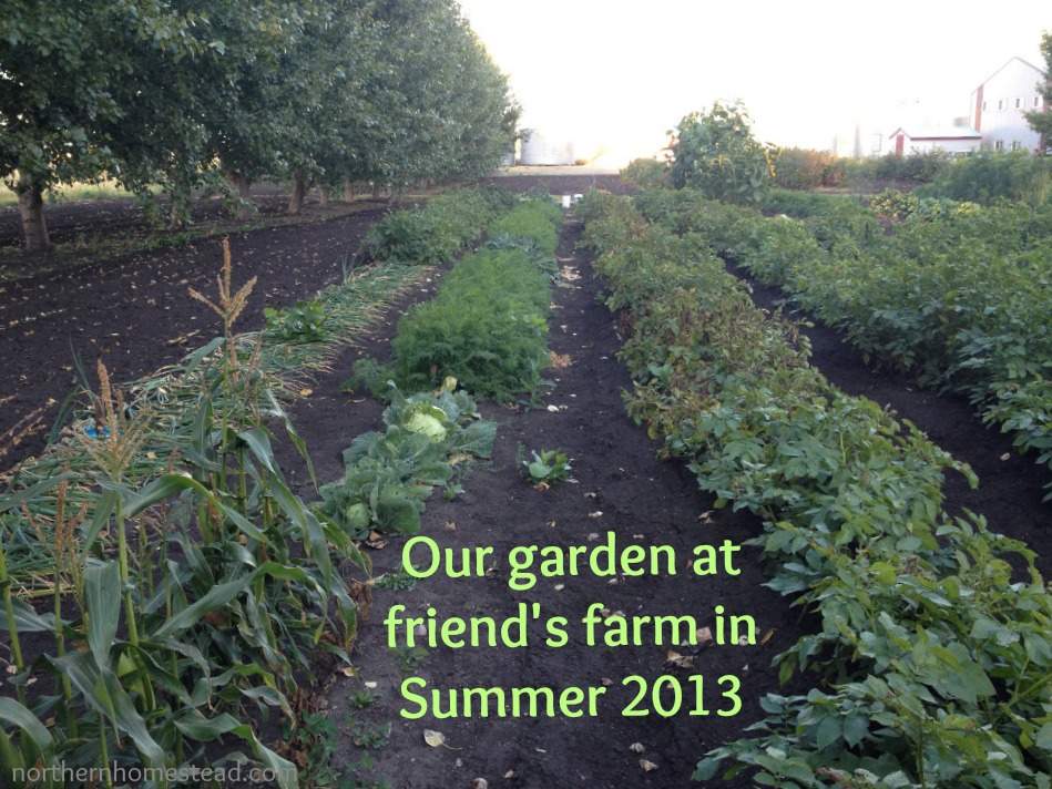 Farm Garden