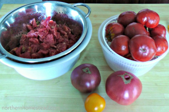 Canning Homemade Tomato Salsa