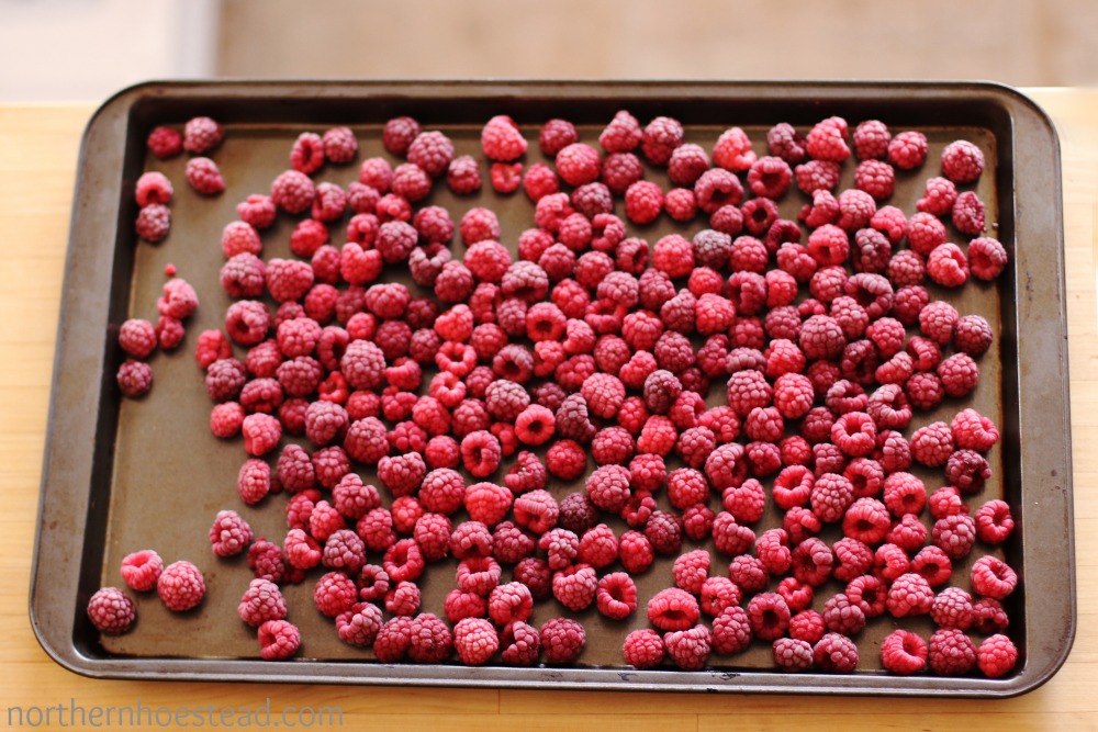 How to freeze berries