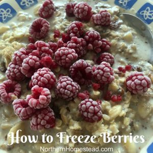 How to freeze raspberries, blueberries, currant, strawberries, and other berries