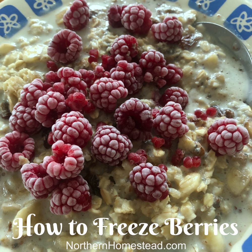 How to freeze raspberries, blueberries, currant, strawberries, and other berries.