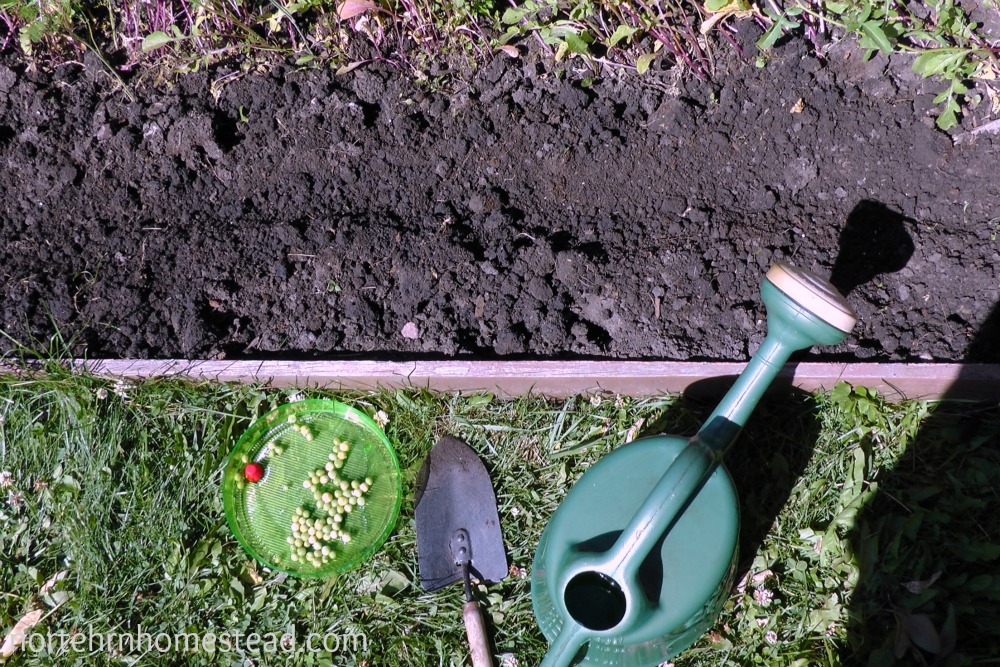 7 Ways to Keep Your Garden Chores Enjoyable