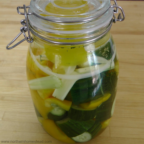 I want to encourage you to start fermenting, fermenting is simple! With this simple brine you can ferment almost anything without any special equipment.