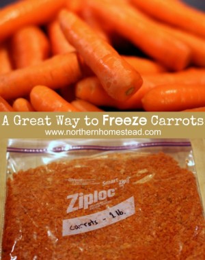 will cold weather afect carrot seefs will cold weather afect carrot seefs