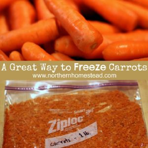 A Great way to freeze carrots