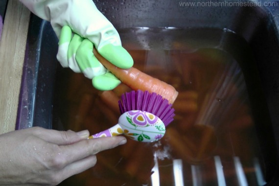 A great way to freeze carrots