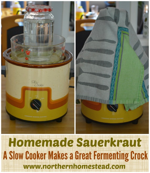 Homemade Sauerkraut - A Slow Cooker Makes a Great Fermenting Crock