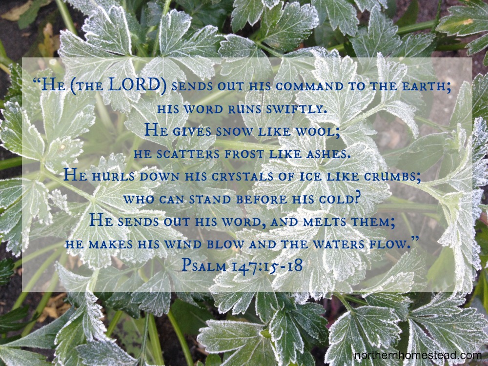 Psalm 14715-18