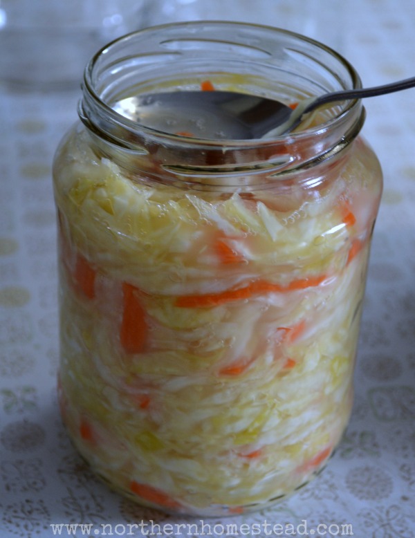 Homemade sauerkraut is raw, fermented, and packed full of good bacteria. This recipe will make a crispy and crunchy sauerkraut the simple way.